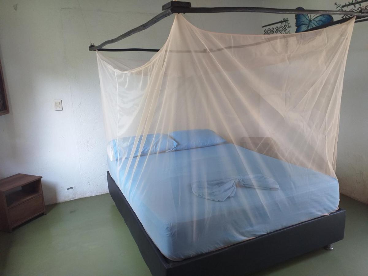 Hostel Kaluta Palomino Zewnętrze zdjęcie