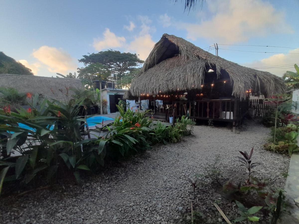 Hostel Kaluta Palomino Zewnętrze zdjęcie