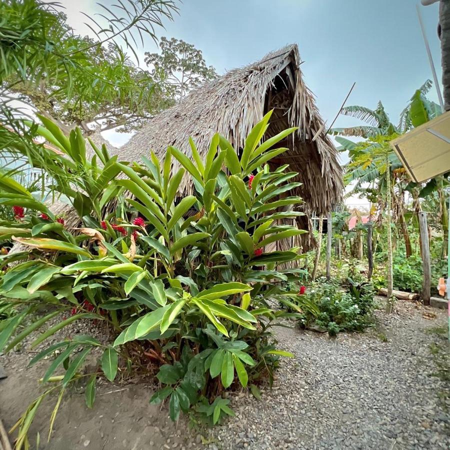 Hostel Kaluta Palomino Zewnętrze zdjęcie