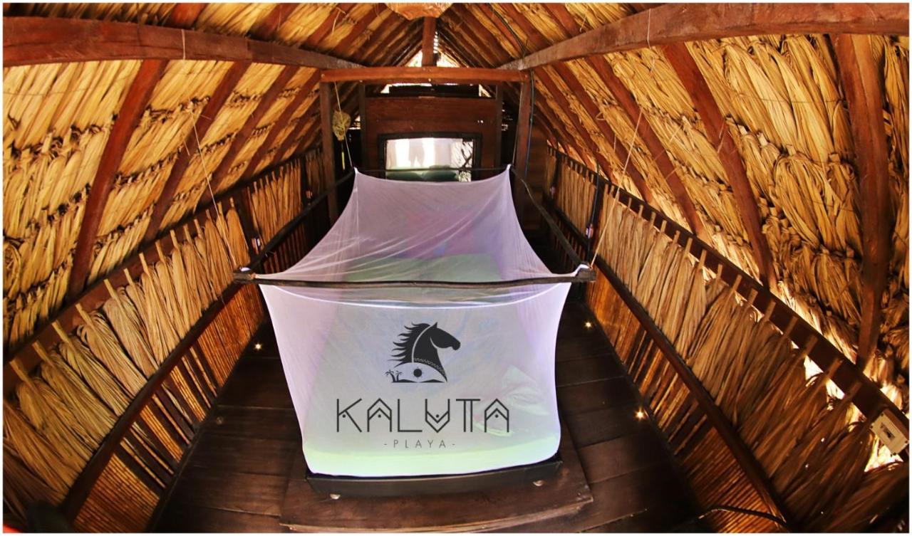 Hostel Kaluta Palomino Zewnętrze zdjęcie
