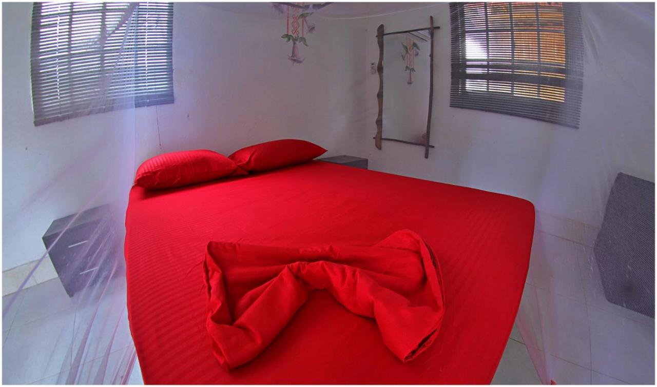 Hostel Kaluta Palomino Zewnętrze zdjęcie