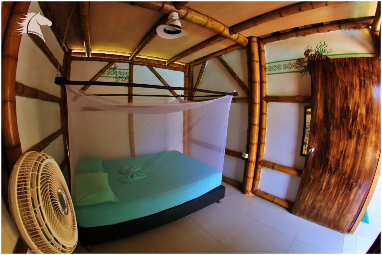 Hostel Kaluta Palomino Zewnętrze zdjęcie