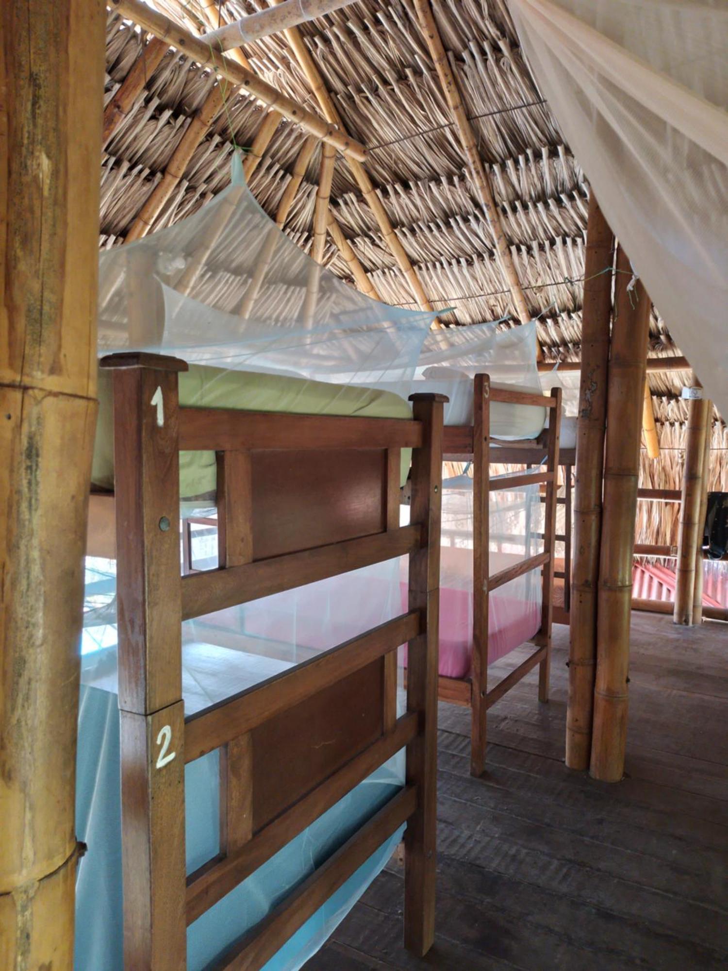 Hostel Kaluta Palomino Zewnętrze zdjęcie