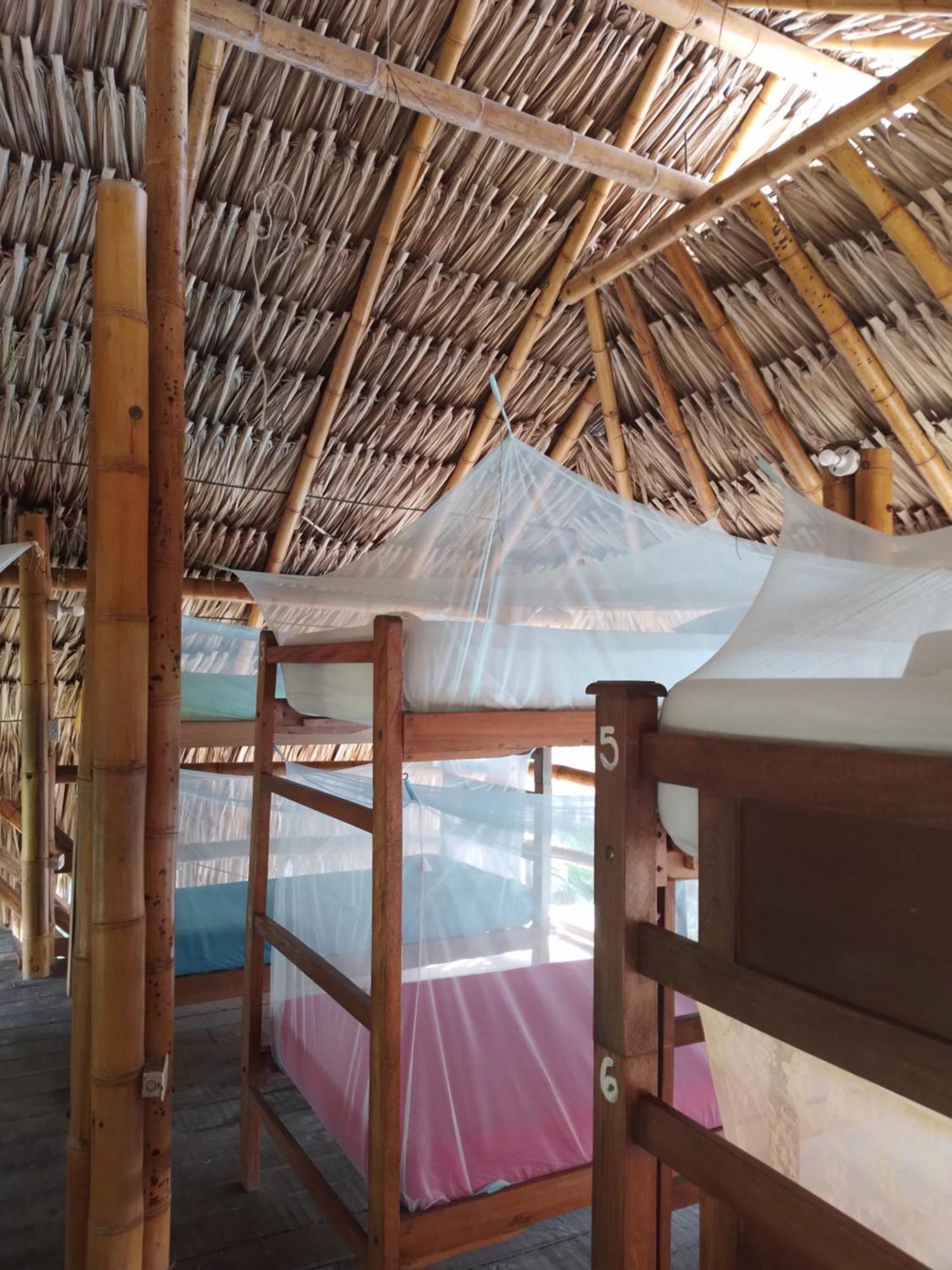 Hostel Kaluta Palomino Zewnętrze zdjęcie
